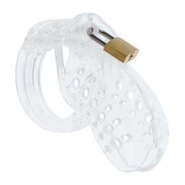 Hidden Desire Extreme Chastity Cock Cage Acrylic