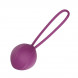 Engily Ross Leigh Kegel Ball Silicone Purple