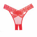 Allure Crotchless Desire Panty Red